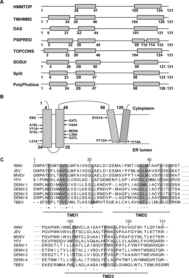 FIG 1