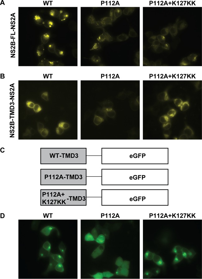 FIG 10