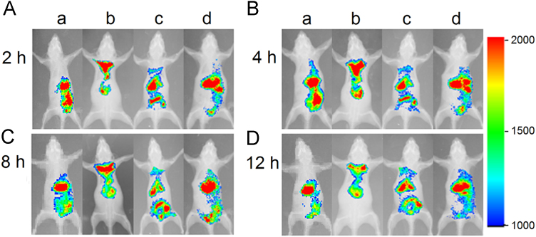 Fig. 4