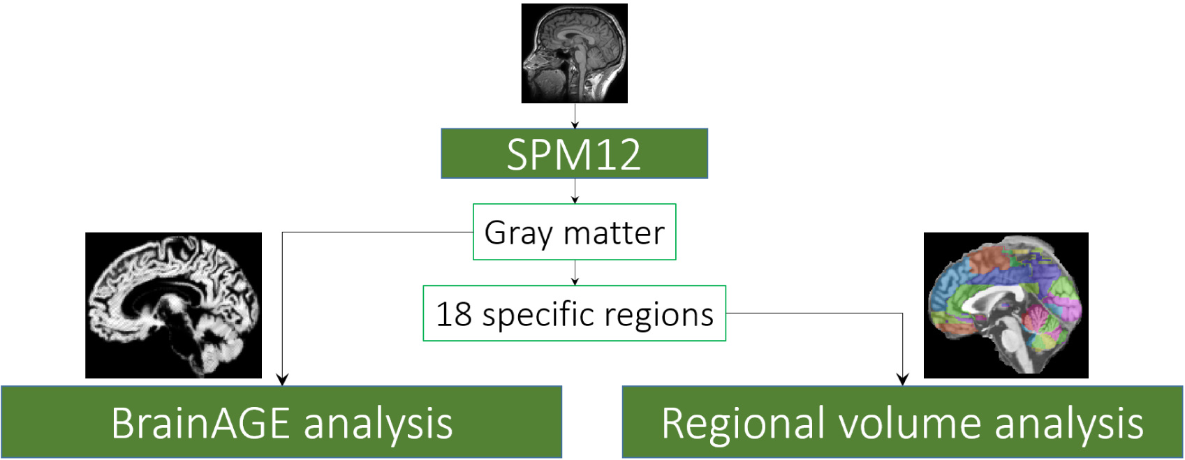 Figure 3.: