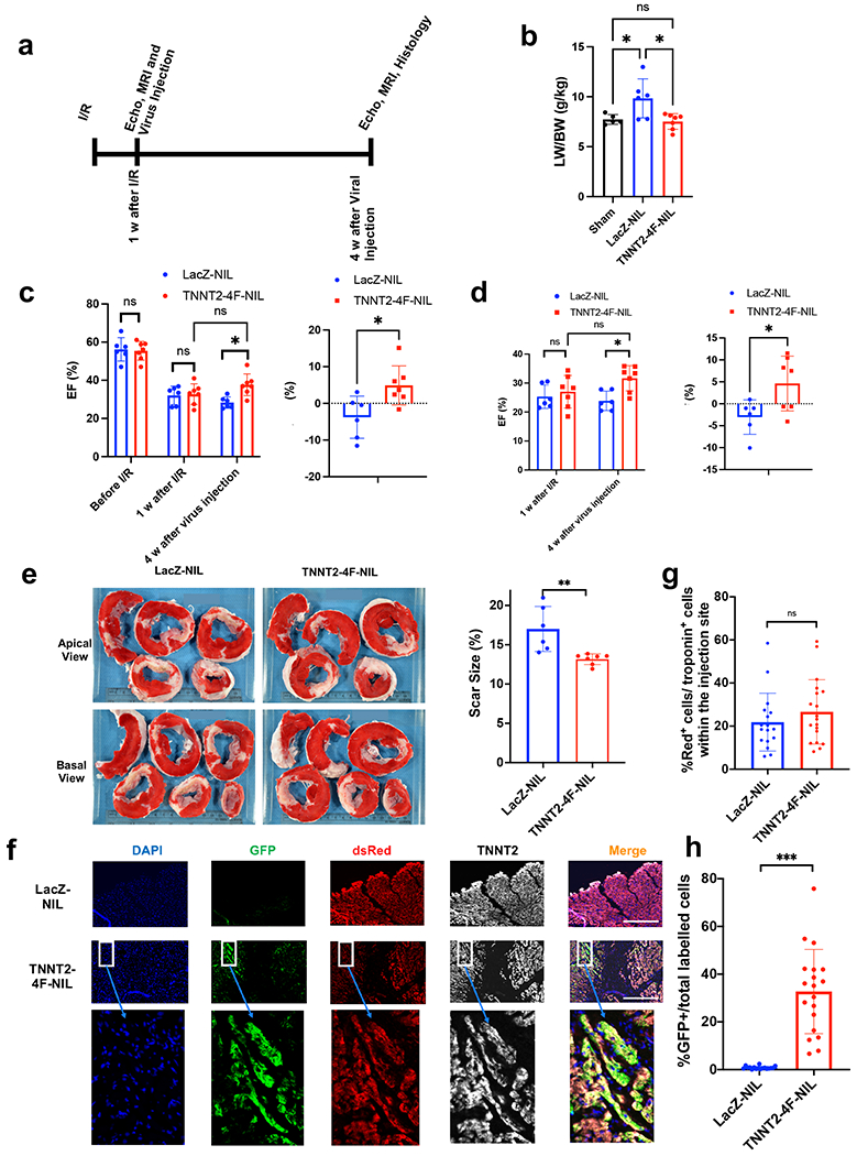 Fig. 6.