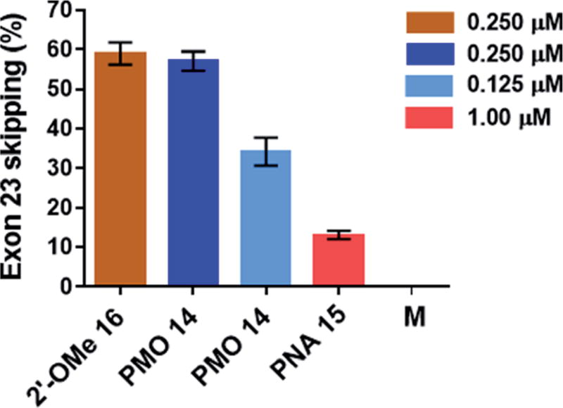 Fig. 10