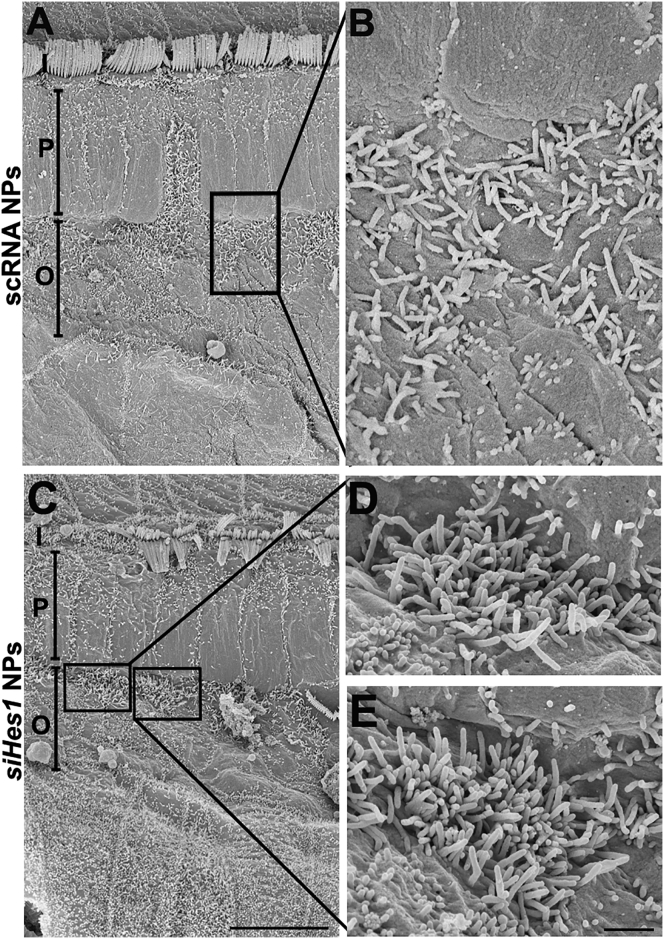 Figure 7