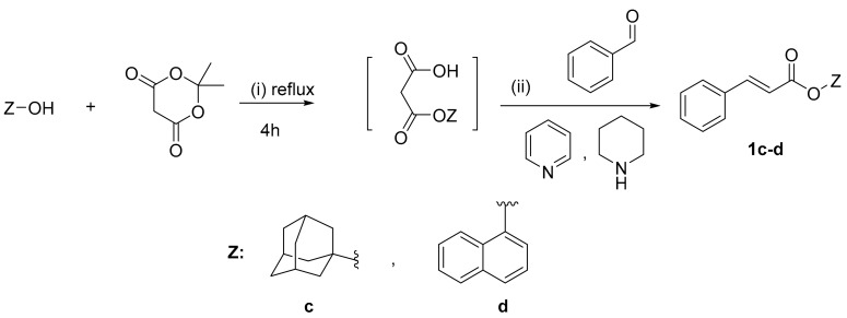 Scheme 3