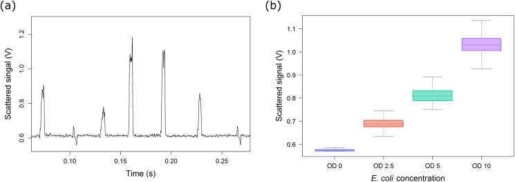 FIG. 5.