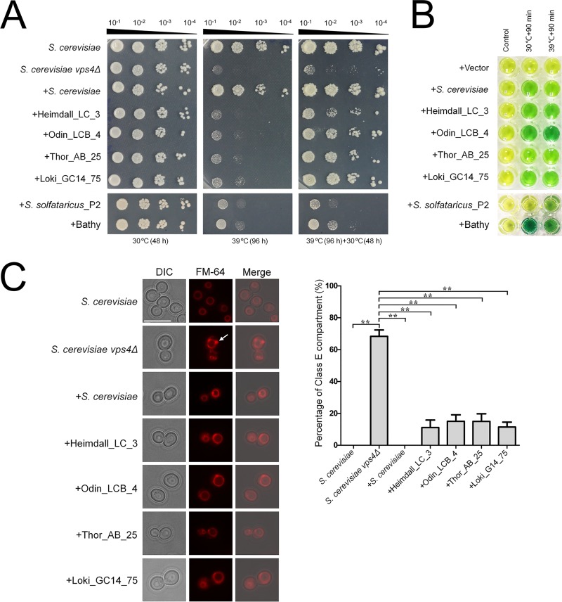 FIG 4