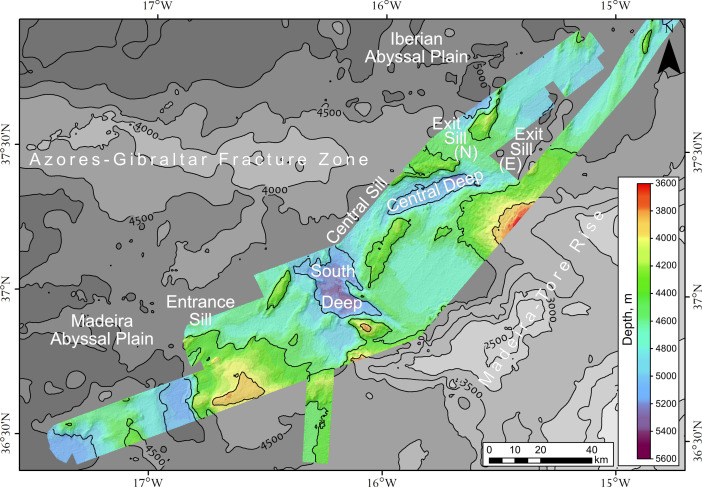 Fig 2