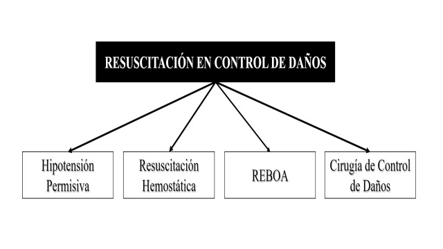 Figura 6