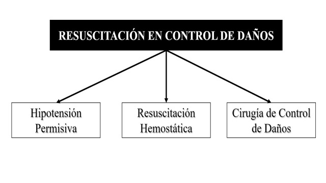 Figura 2