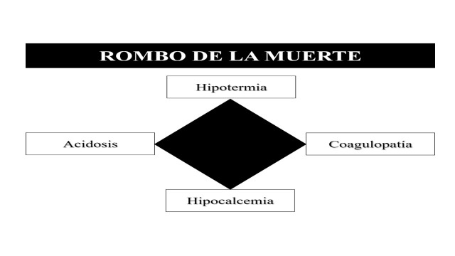 Figura 3