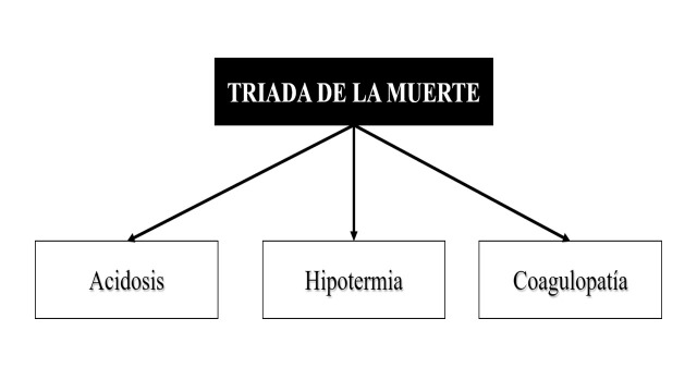 Figura 1