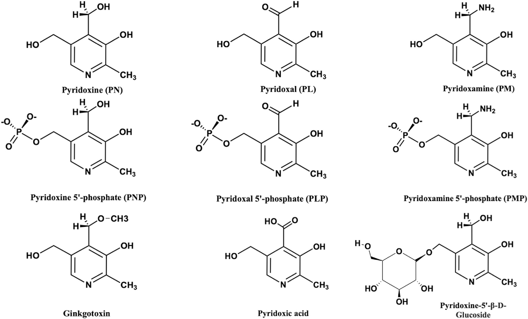 Fig. 1.