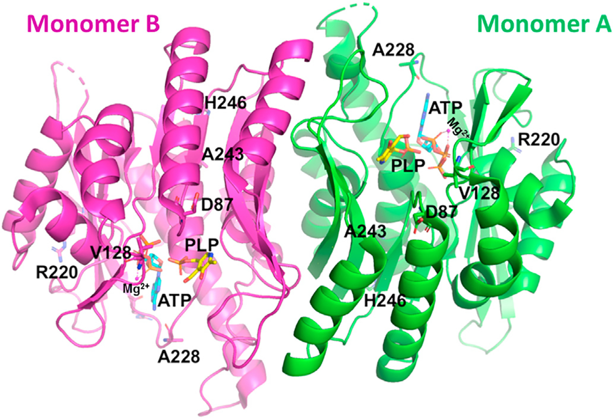 Fig. 3.