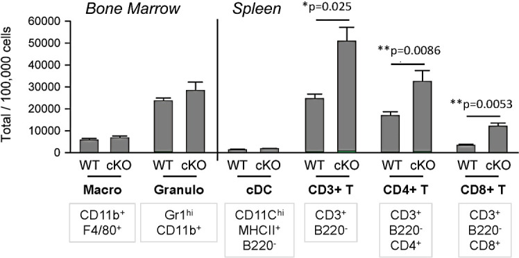 Figure 1—figure supplement 2.