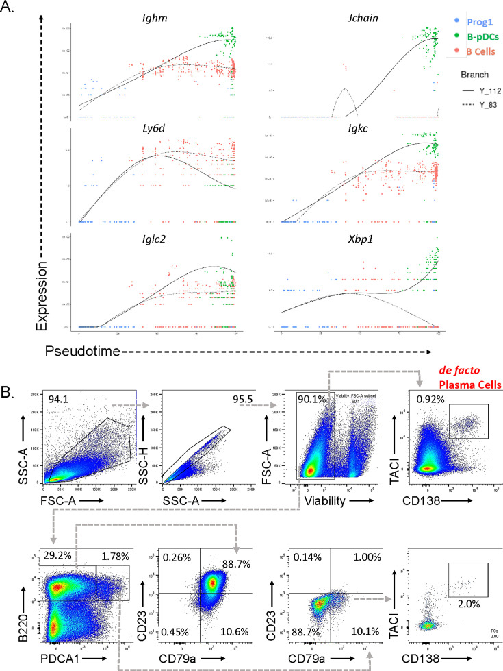 Figure 4—figure supplement 1.