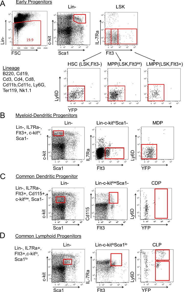 Figure 1—figure supplement 1.