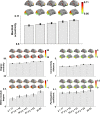 Figure 1—figure supplement 3.