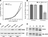 Figure 10.