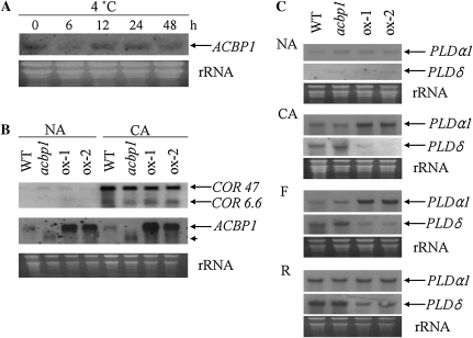 Figure 5.