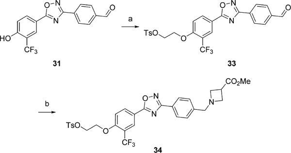 Scheme 5