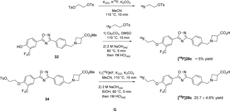 Scheme 6