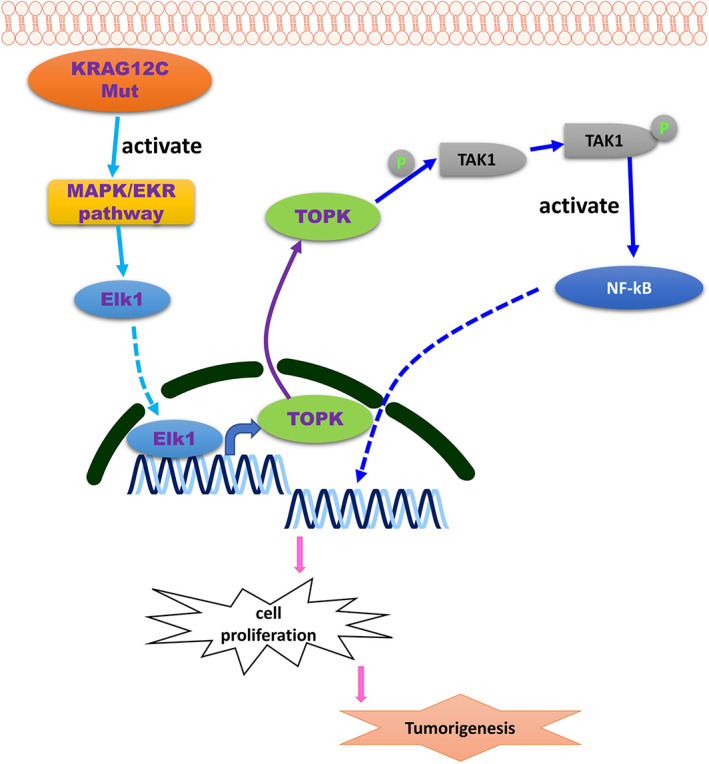 FIGURE 9