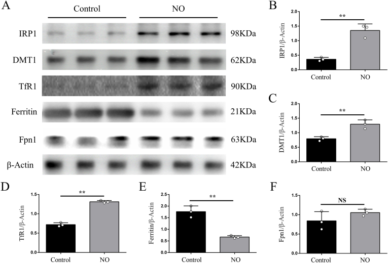 Fig. 8