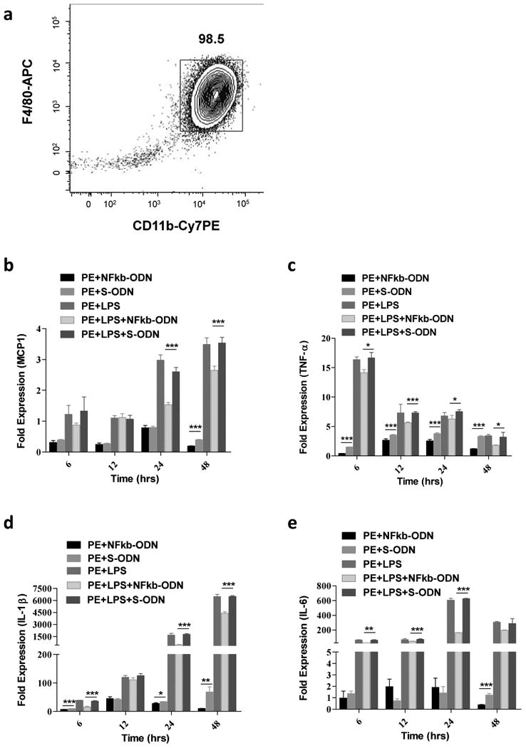 Fig.2