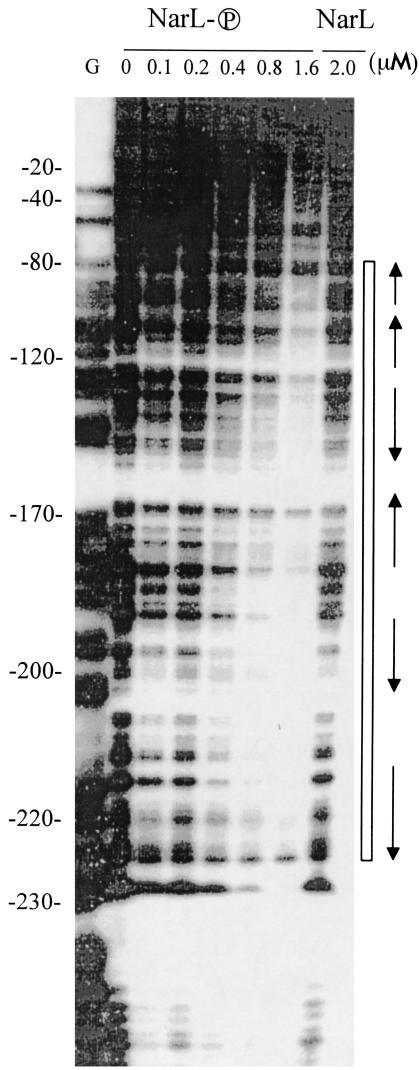 FIG. 5.