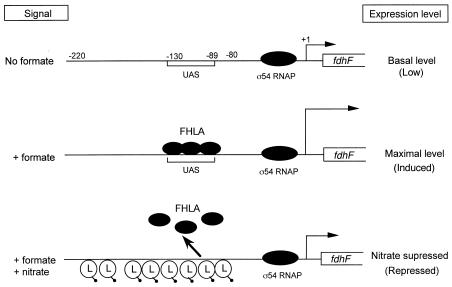 FIG. 8.