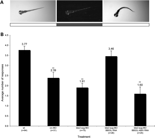 Figure 3.