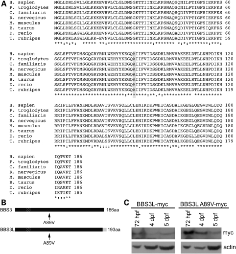 Figure 1.