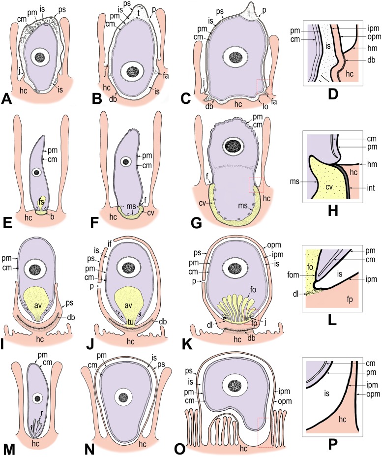 Fig 10