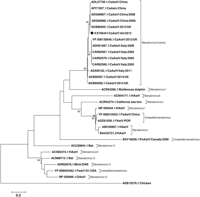 Fig 2