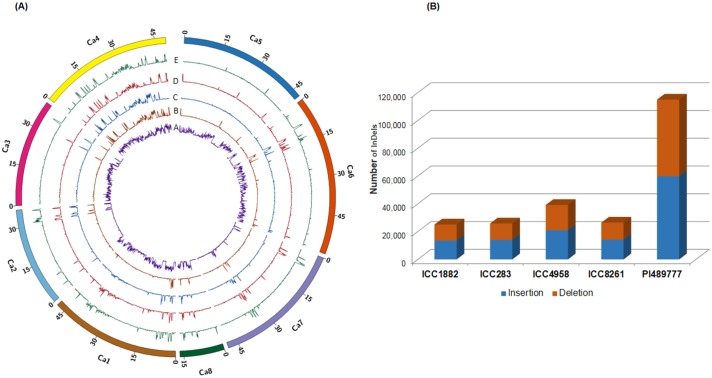 Fig 1