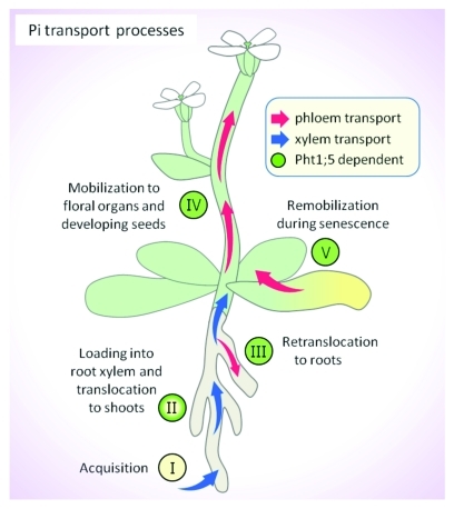 Figure 1.