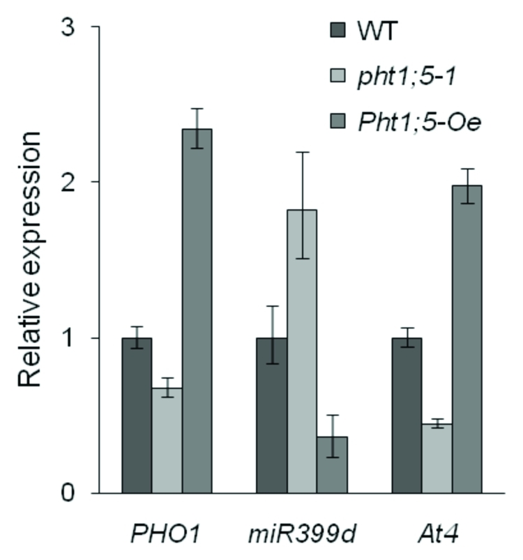 Figure 2.