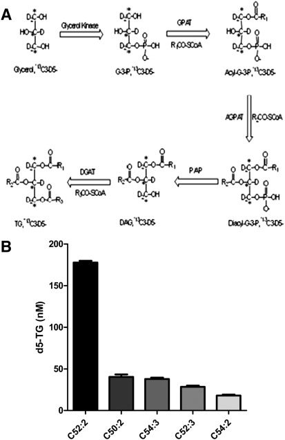 Fig. 2.