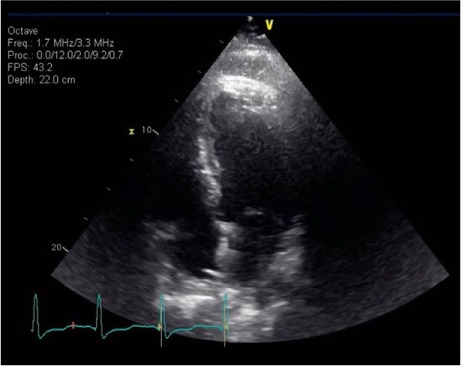 Fig. 4.