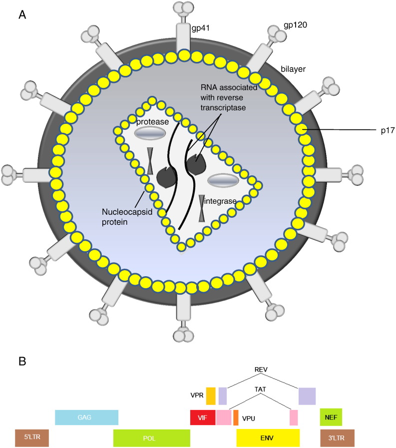 Fig. 1