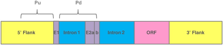 Fig. 4