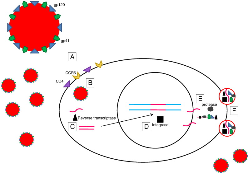 Fig. 2