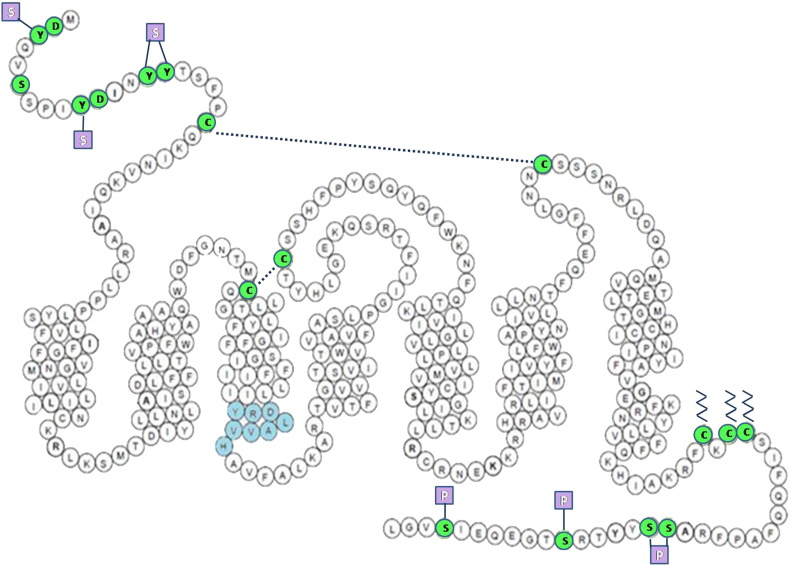 Fig. 3