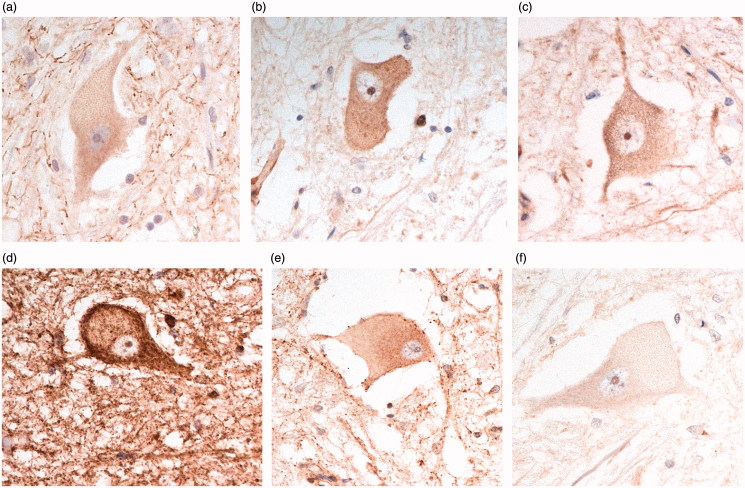 Figure 3.