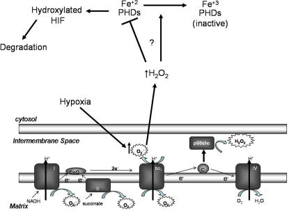 Figure 10.