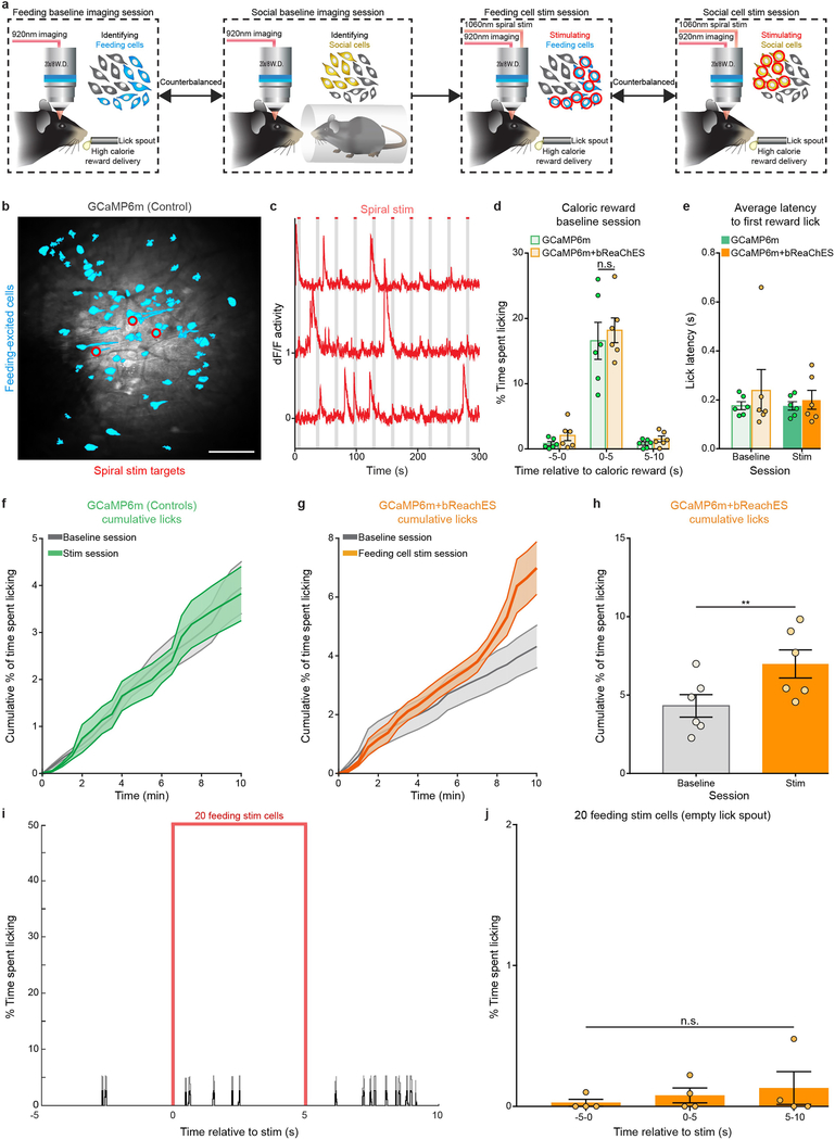 Extended Data Fig. 3 |