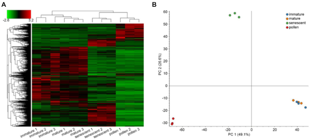 Figure 3: