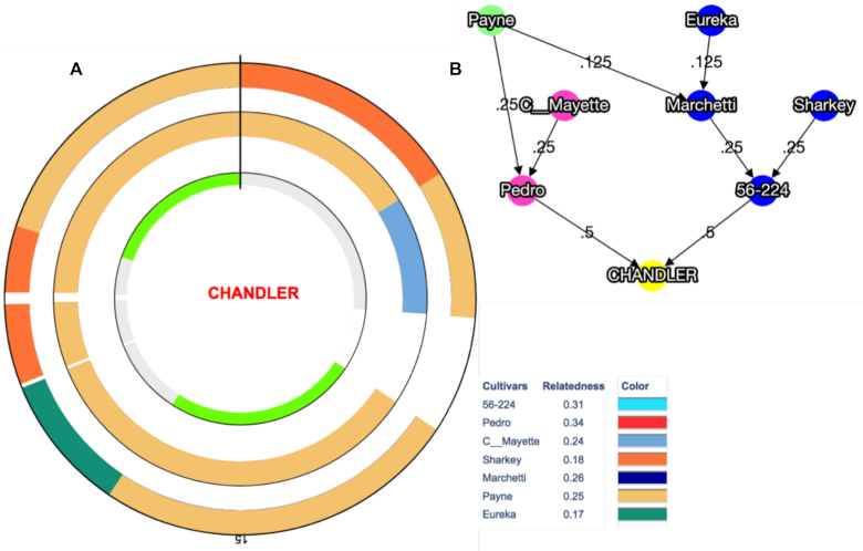 Figure 4: