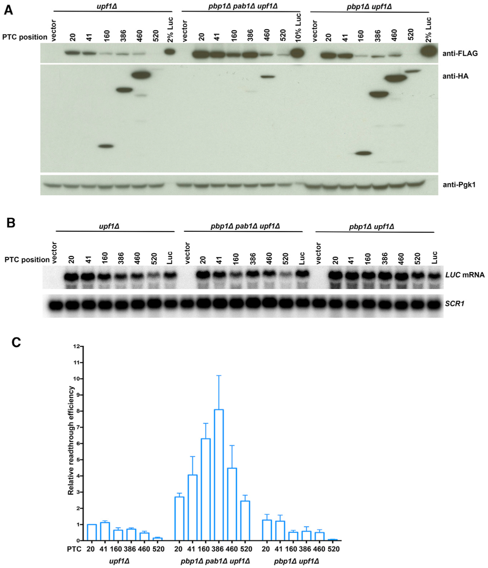 Figure 5.