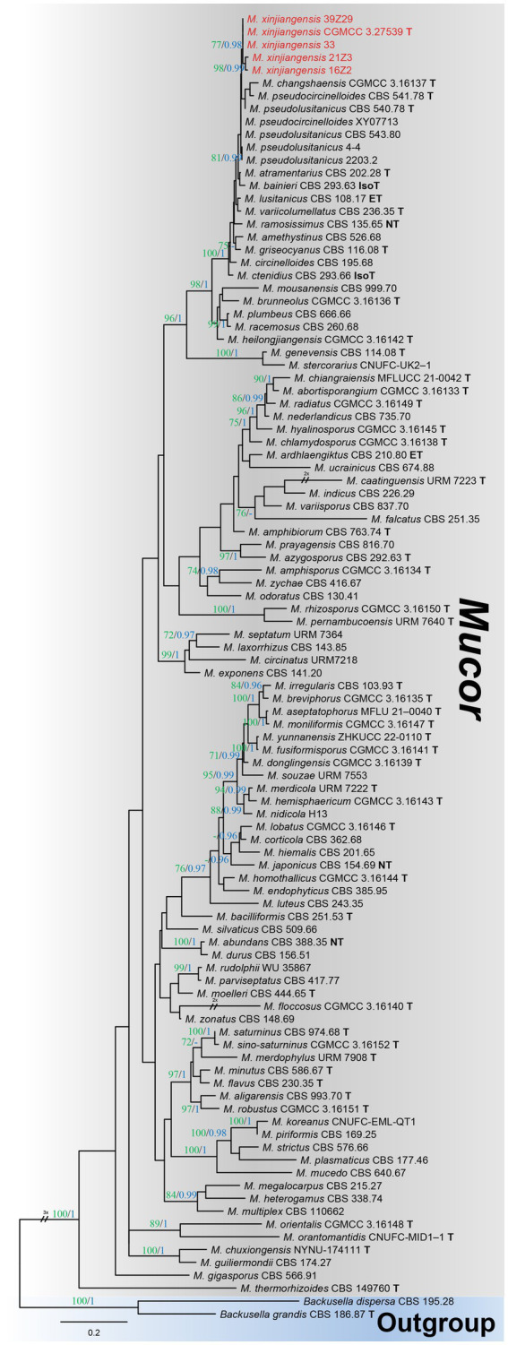 Figure 2